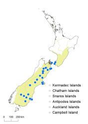 Cardamine intonsa distribution map based on databased records at AK, CHR, OTA & WELT.
 Image: K.Boardman © Landcare Research 2018 CC BY 4.0